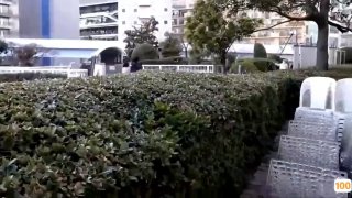 香港三级日本三级三级韩级小丫头